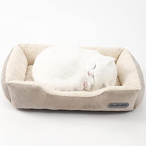 Nyescasa Hundebett Katzenbett Hundesofa Katzensofa Hundematte Katzenschlafplatz Hundekörbchen Katzenkissen Hundekissen Orthopädische Waschbar Rutschfest für Kleine Hunde und Katzen Beige S(40*31*10） von Nyescasa