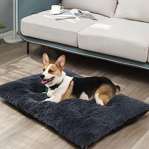 Nyescasa Hundebett Katzenbett Plüsch Hundekissen Katzenkissen Abnehmbar Waschbar Hundematte Flauschig Hundesofa Katzensofa rutschfest Hundematratze für Grosse Hunde Katzen Dunkelgrau 100 * 70 * 10cm von Nyescasa