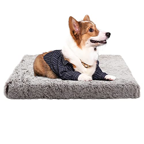 Nyescasa Hundebett für kleine große Hunde, Sofaschutz Lang Plüsch Flauschig Atmungsaktiv Katzenbett, Winter Warm Hundecouch Waschbar Abnehmbar rutschfest Hundekissen(S ca. 40x30x5cm, Leichter Kaffee) von Nyescasa