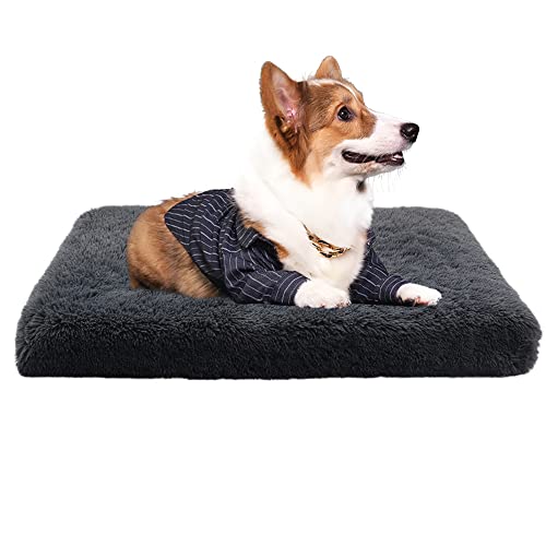 Nyescasa Hundebett für kleine große Hunde, Sofaschutz Lang Plüsch Flauschig Atmungsaktiv Katzenbett, Winter Warm Hundecouch Waschbar Abnehmbar rutschfest Hundekissen(S ca. 40x30x5cm,Dunkelgrau) von Nyescasa