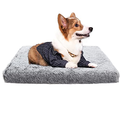 Nyescasa Hundebett für kleine große Hunde, Sofaschutz Lang Plüsch Flauschig Atmungsaktiv Katzenbett, Winter Warm Hundecouch Waschbar Abnehmbar rutschfest Hundekissen (2XL ca. 120x80x10cm, Hellgrau) von Nyescasa