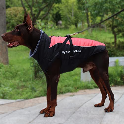 Nyescasa Hundemantel Winter Hundebekleidung Wasserdicht Hundejacke mit Geschirr, Reflektierend, Einstellbar Hunde Winterjacke 2XL für mittelgroße und große Hunde, Outdoor-Sport Winddichte Hundeweste von Nyescasa