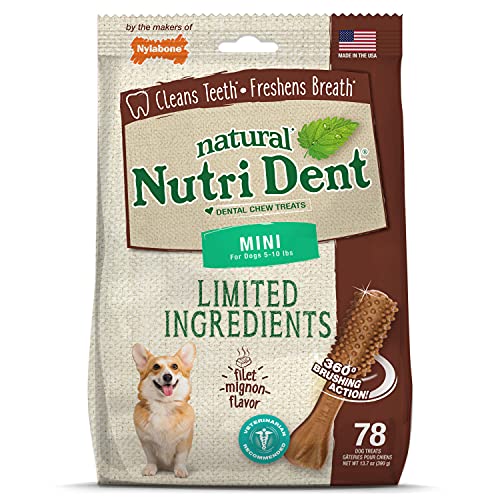 Nutri Dent Limited Zutat Dental Dog Chews - Mini Size - Filet Mignon oder Fresh Breath Aromen, 78 Ct, braun von Nylabone