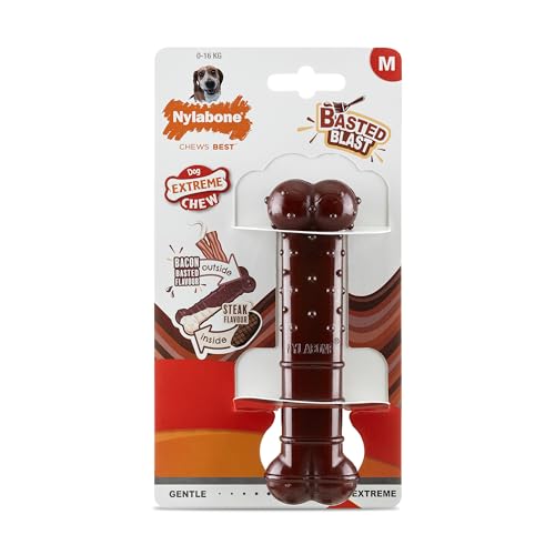 Nylabone, Basted Blast, Extrem starker Kaueffekt, Hundespielzeug aus Nylon, Knochenform, Haltbarer Kauknochen, Geschmack: Speck und Steak, Medium, Für Hunde bis 16 kg von Nylabone