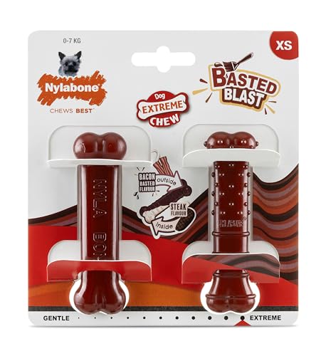 Nylabone, Basted Blast, Extrem starker Kauknochen, Hundespielzeug aus Nylon, Knochenform, Haltbarer Kauknochen, Geschmack: Speck und Steak, Extra klein, Für Hunde bis 7 kg, 2er Pack von Nylabone