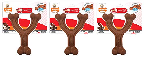 Nylabone (3 Pack) Power Chew Textured Bison Flavored Large Sized Dog Wishbone von Nylabone