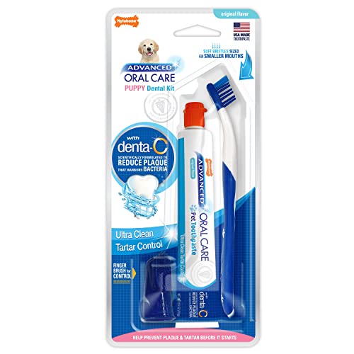 Nylabone „Advanced Oral Care“ Zahnpflege-Set von Nylabone