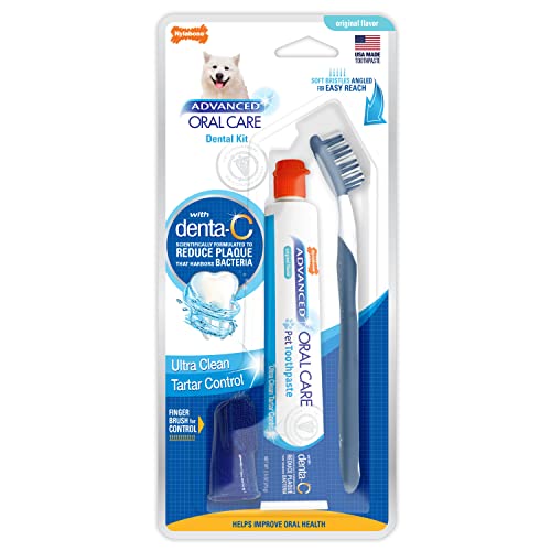 Nylabone „Advanced Oral Care“ Zahnpflege-Set von Nylabone