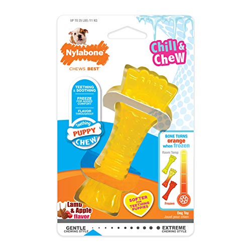 Nylabone 984680 Kühlender Kauknochen für Welpen, Lamm- und Apfelgeschmack, einfrieren zur Beruhigung des Zahnfleisches beim Zahnen, Größe S (bis 11 kg ohne ausgewachsene Zähne), 70 g von Nylabone