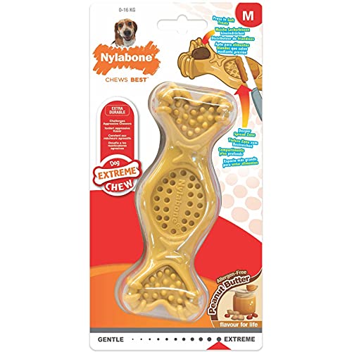 Nylabone 984720EU Hundeknochen zum Füllen mit Leckereien, Erdnussbutter-Geschmack - Kauknochen für stark kauende Hunde für Hunde bis 16 kg von Nylabone