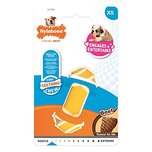 Nylabone 984723EU Knotenknochen-Kauspielzeug für Welpen, Rindfleisch-Geschmack - Kauspielzeug für zahnende Welpen - Große XS - für Hunde und Welpen bis 7 kg von Nylabone