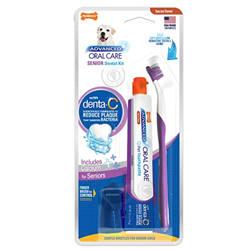 Nylabone „Advanced Oral Care“ Zahnpflege-Set von Nylabone