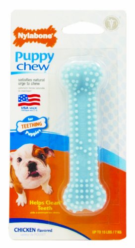 Nylabone Bone Puppy Kauspielzeug für Hunde, Petite Blue von Nylabone