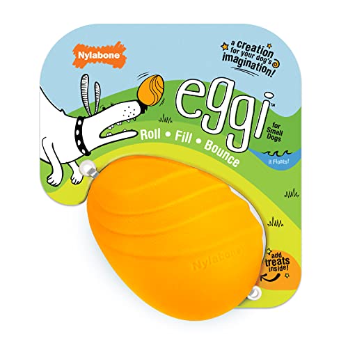 Nylabone Eggi Interaktives Hundespielzeug für kleine Hunde, leicht, federnd, schwimmfähig, für kreatives Spielen und Hundetraining von Nylabone