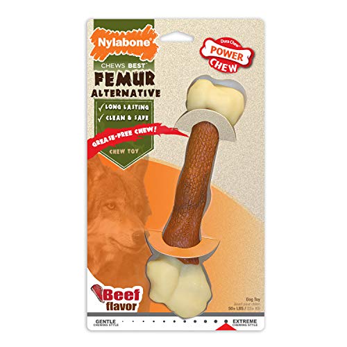 Nylabone Extreme Kauen Femur Rindfleisch Geschmack Hund kauen, 90 g von Nylabone