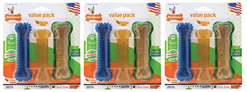 Nylabone Flexi Chew Variety Pack Regular von Nylabone