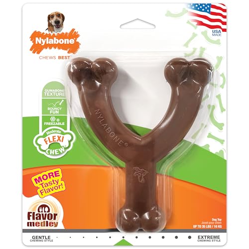 Nylabone Flexi Chew Wishbone Kauspielzeug für Hunde, Flexibles Hundespielzeug für moderates und sanftes Kauen, Geschmacksmedley, Wolf/Medium (1 Stück) von Nylabone