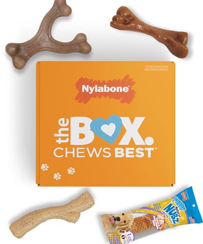 Nylabone Hundespielzeug-Geschenkbox, enthält 3 Starke Kauspielzeuge und 1 Hundeleckerli, Kauspielzeug für Welpen, klein/normal (4 Stück) von Nylabone