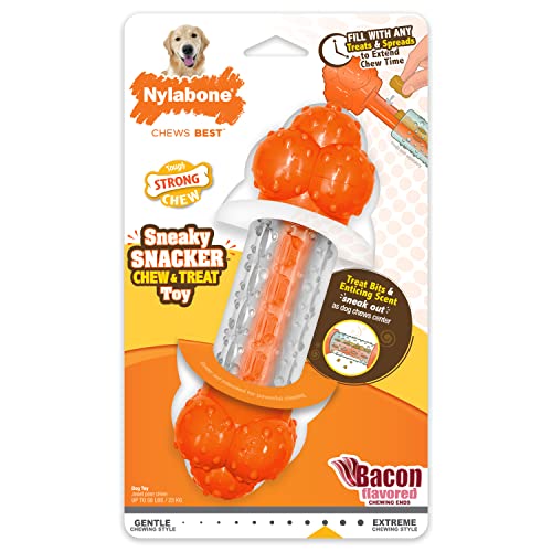 Nylabone Kau- & Leckerli-Spielzeug für Hunde - Interaktives Hundespielzeug zur Anreicherung von Nylabone