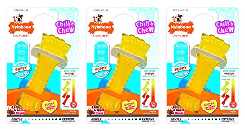 Nylabone Kauknochen für Welpen, Spielzeug, 3 Stück von Nylabone