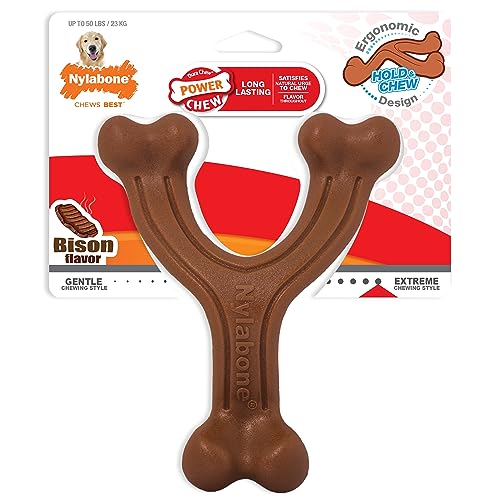 Nylabone Hundespielzeug, ergonomisch, zum Halten und Kauen, Large/Giant - Up to 50 lbs., Keine von Nylabone