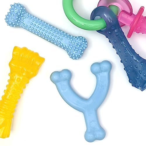 Nylabone Kauspielzeug-Set für Welpen, Huhn und Speck, Größe XS/Petite, Blau, 4 Stück von Nylabone