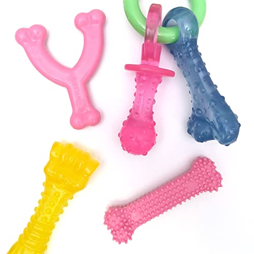 Nylabone Kauspielzeug-Set für Welpen, Kauspielzeug zum Zahnen, Welpenzubehör, Huhn- und Speckaromen, Rosa, Größe XS/zierlich, 4 Stück von Nylabone