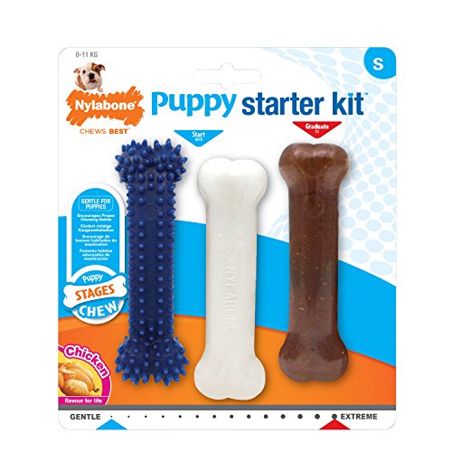 Nylabone Kauspielzeug für Welpen Starter Kit, 3 Stück (1er Pack) von Nylabone