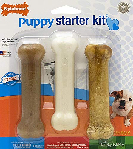 Nylabone Kauspielzeug für Welpen Starter Kit, 3 Stück (1er Pack) von Nylabone