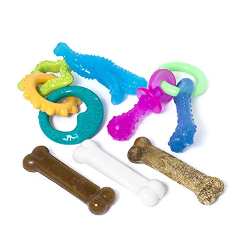 Nylabone Kauspielzeug für Welpen Starter Packungen Puppy Chew Spielzeug von Nylabone