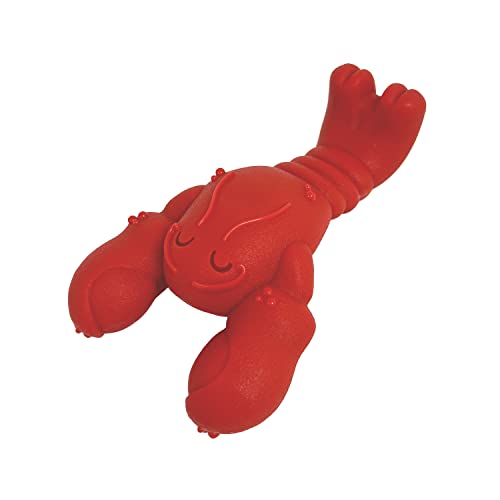 Nylabone Lobster Hundespielzeug Power Chew Hundespielzeug für Aggressive Kauer - Lustiges Hundespielzeug - Filet Mignon Hundespielzeug - Klein/Regular (1 Stück) von Nylabone