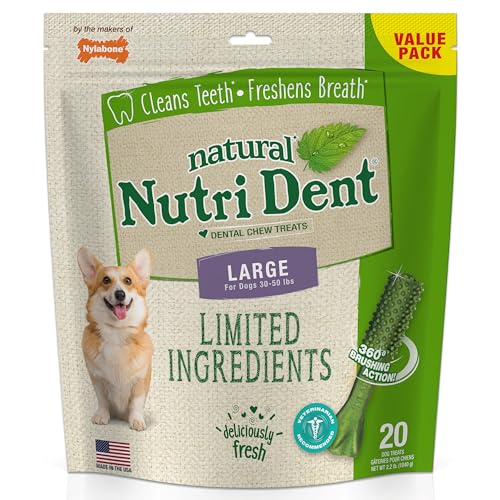 Nylabone Nutri Dent, 20 Ct, Fresh Breath von Nylabone