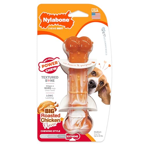 Nylabone Original Bone Power Kauspielzeug für Hunde zum 70. Geburtstag, langlebiges und Robustes Hundespielzeug für Aggressive Kauer, mit geröstetem Huhngeschmack, mittelgroß – bis zu 15,9 kg (1 von Nylabone