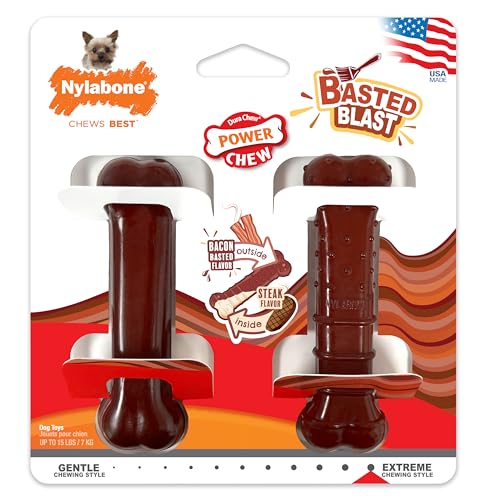 Nylabone Power Chew Bacon Flavor Outside and Steak Flavor Inside For X-Small Dog von Nylabone