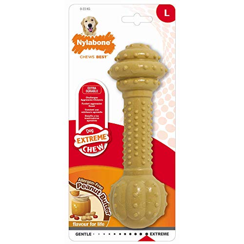 Nylabone Power Chew Extreme Kauspielzeug Dura Kauspielzeug für Hunde, Erdnussbutter, Größe L / XL von Nylabone