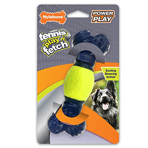 Nylabone Power Play Play 'n Fetch Interaktives Hundespielzeug von Nylabone