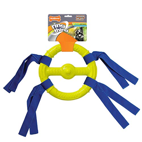 Nylabone Power Play Ring Thing schwimmfähiges Hundespielzeug Ring Thing Medium (1 Stück) von Nylabone