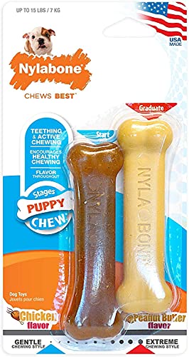 Nylabone Puppy Combo Pack Petite Chicken/Peanut Butter Teething Toy - 2 Pack von Nylabone