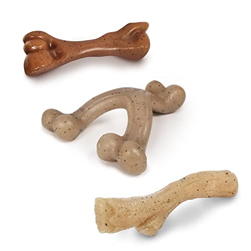 Nylabone Puppy Gourmet Style Strong Chew Toy Speck, Huhn, Erdnussbutter Puppy Gourmet Bundle (3 Stück) von Nylabone