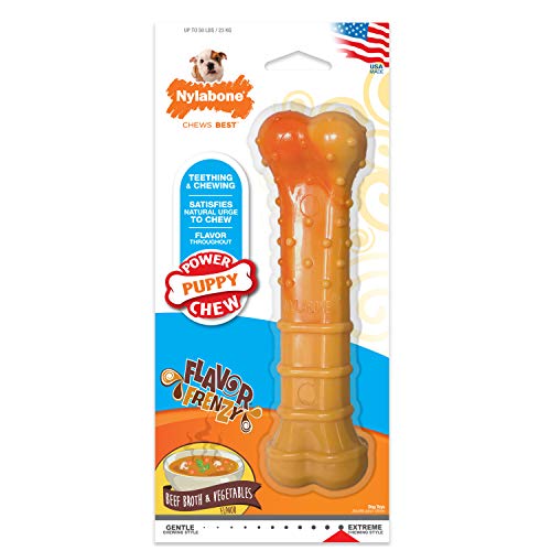 Nylabone Puppy Power Kauspielzeug – Robustes und langlebiges Kauspielzeug für Welpen zum Zahnen – Welpenzubehör – Rinderbrühe und Gemüsegeschmack, klein (1 Stück) von Nylabone