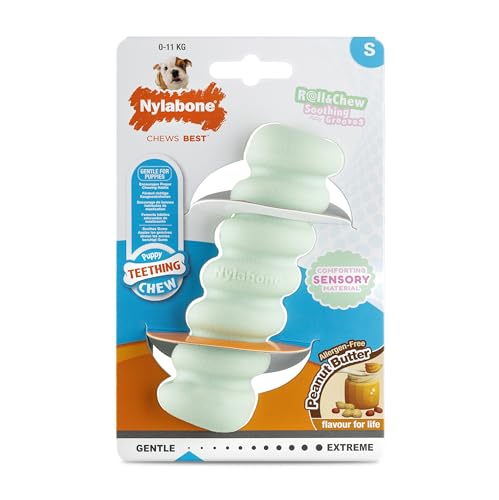 Nylabone, Welpenzahnstange aus sensorischem Material, Kauspielzeug, Erdnussbuttergeschmack, Klein - Für Welpen bis 11 kg von Nylabone