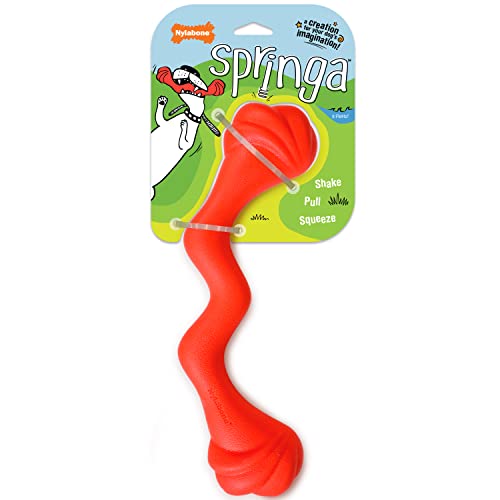 Nylabone Springa Interaktives Hundespielzeug, leicht, flexibel, schwimmfähig, für kreatives Spielen und Hundetraining von Nylabone