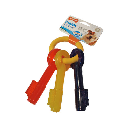 Nylabone Teething Puppy Keys - M von Nylabone