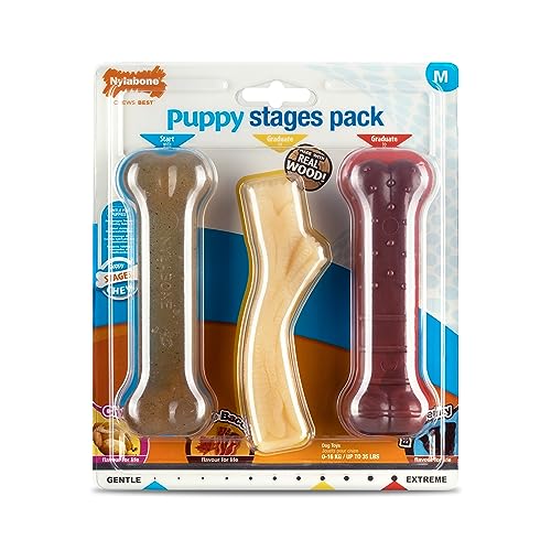 Nylabone Welpen Stufen Dreierpack, sanftes Huhn Starter kauen, Graduate Ahorn Speck Holz Stick, Graduate Rindfleisch Jerky Extreme Knochen, Medium (1 Packung mit 3 Kauspielzeug) von Nylabone