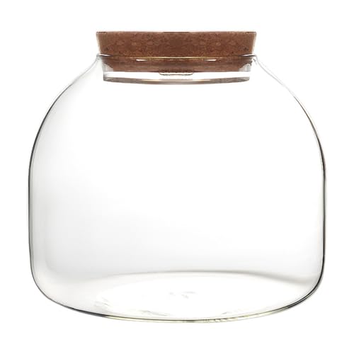 Glasterrarium für Pflanzen, 1600 ml Pflanzen -Terrarium mit Korkdeck Glasterrarium für Pflanzen, 1600 ml Pflanzen -Terrarium mit Korkdeck von Nyutcwe