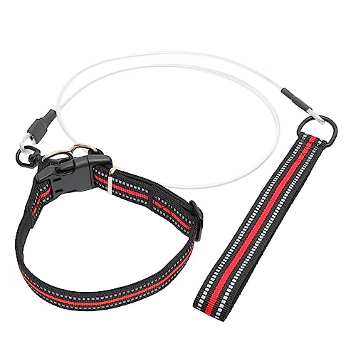 OATIPHO 1 Satz Hundehalsband Schwarze Leine Für Hunde Trainingsleine Für Haustiere Bequemes Seil Hund Schnalle Halsband Verstellbares Zugseil Nylon Mit Dem Hund Spazieren Gehen Kombination von OATIPHO