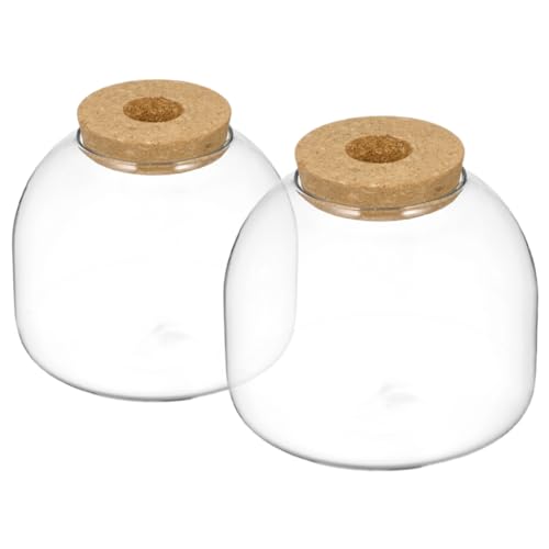 OATIPHO 2st Ökologische Mikrolandschaftsflasche Desktop-sukkulentenflasche Tank Terrarienset Großes Glas Pflanzen Tasche Containerhaus Ökosystem Keksdose Glashaube Aquarium Wasser Hölzern von OATIPHO