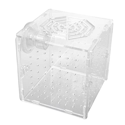 OATIPHO Aquarium-zuchtbox-Set 10 X 10 X 10 cm Inkubator-tankbecher Aus Acryl Fischschlupfboxen für Isolierte Zucht Sicher für Fische von OATIPHO