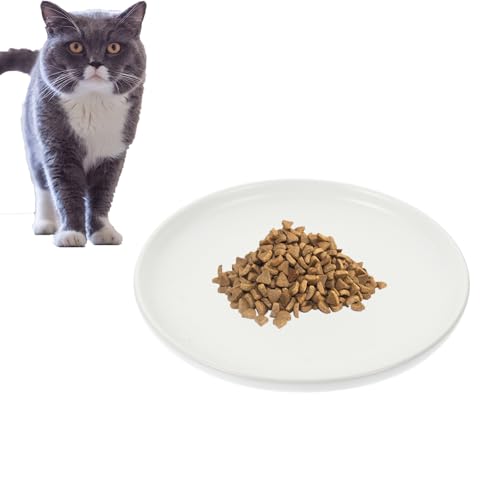 OATIPHO Katzennapf aus Keramik, Welpen-Futterstation für Hundefutter, flacher Kätzchen-Napf, nicht für Kätzchen, Futternapf, Haustiernapf, Futternapf, Haustierfutter, Edelstahl, weiß, Welpenfutter, von OATIPHO