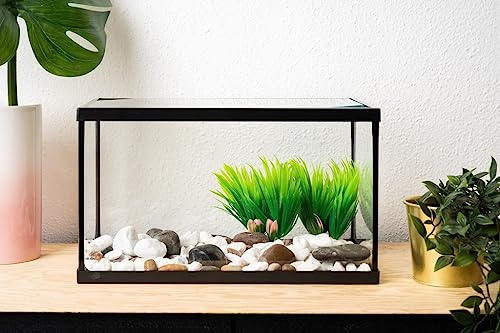 Aquarium aus Glas mit schwarzem Rahmen, 14 l. von OCEAN BOX ACUARIUM